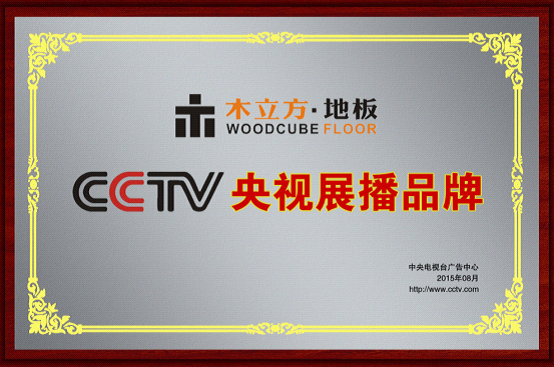 木立方強勢登陸央視 實現品牌跨越式增長