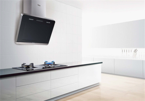 廚衛行業盛宴:年代摘獲“中國十大廚衛品牌”榮耀