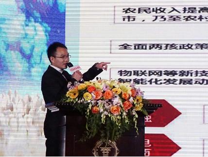 彎道超車 康佳廚衛開啟超越新模式