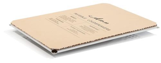 中國知名無線音響品牌